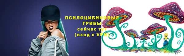 прущие грибы Алексеевка